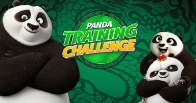 Panda Training Challenge